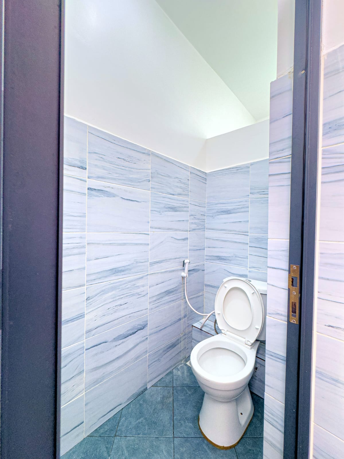 Guest toilet